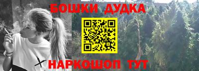 PSILOCYBIN Нальчик