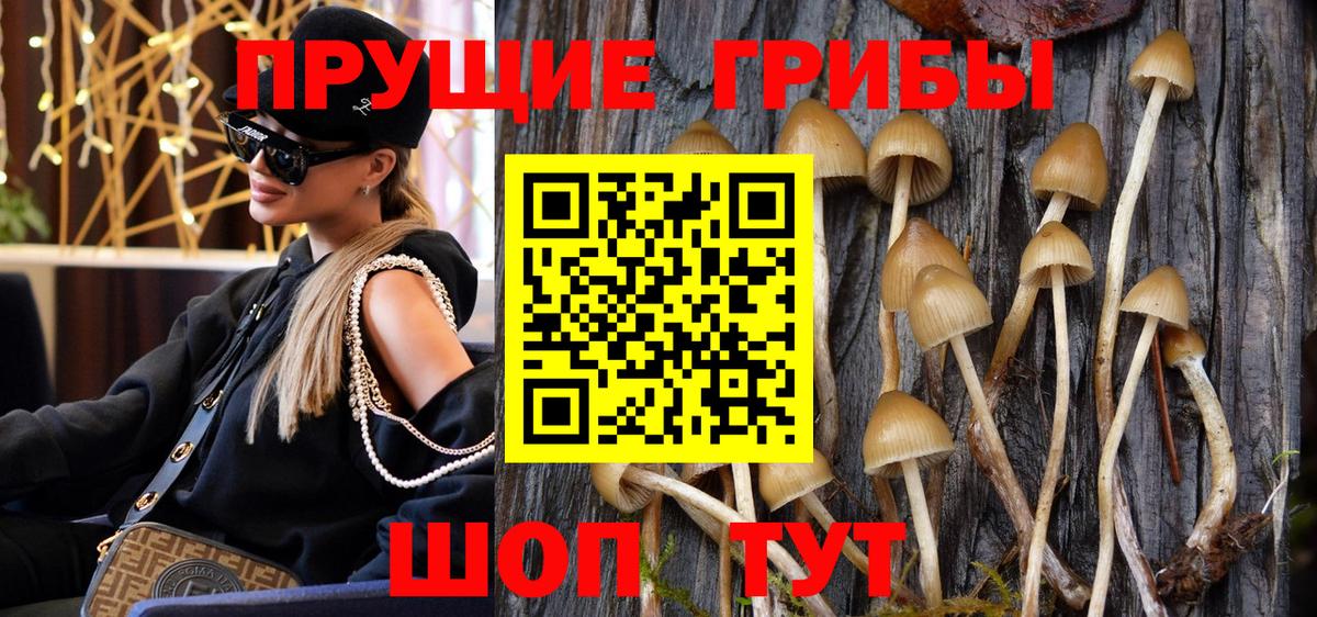 Семилуки  Псилоцибиновые грибы Magic Shrooms  Вход с VPN 