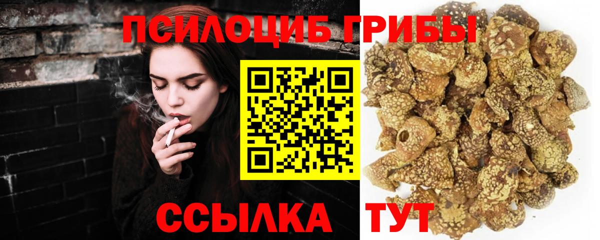 Галлюциногенные грибы Psilocybe Семилуки